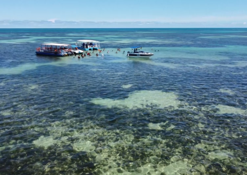 Piscinas naturais de Paripueira - Foto: Vasni soares/TV Pajuçara